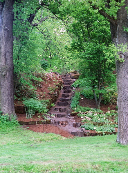 Botanical garden path