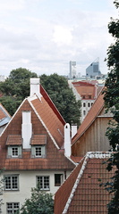 Old Tallinn roofs.
