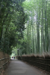 Arashiyama bamboo grove 3