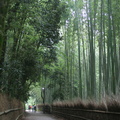 Arashiyama bamboo grove 3