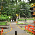Sanin Main Line crossing within Arashiyama bamboo grove