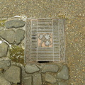 Hatch at Arashiyama
