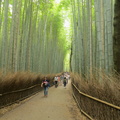 Arashiyama bamboo grove 5