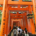 Torii path at Fushimi Inari shrine