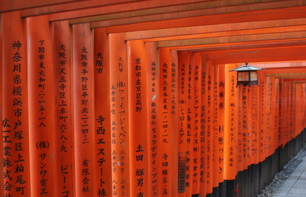 Torii path at Fushimi Inari shrine 1