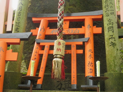 Small torii at Fushimi Inari