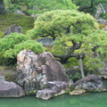 Nijo castle park pond 1