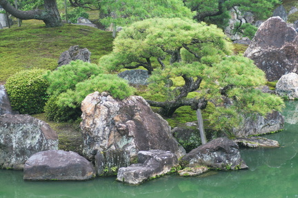 Nijo castle park pond 1