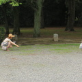 Nixx feeding egrets at Kyoto Imperators Palace park 1