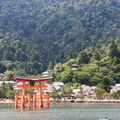 Miyajima Torii 2