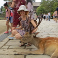 Nixx at Nara Todaiji temple park with deers