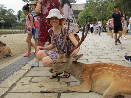 Nixx at Nara Todaiji temple park with deers