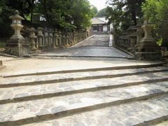 Todaiji temple park 2