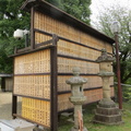 Near temple at Nara