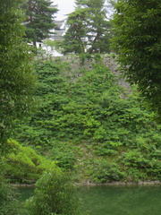 Iga-Ryu castle on hill