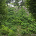 Iga-Ryu castle on hill