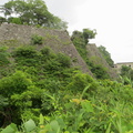 Iga-Ryu castle hill is high