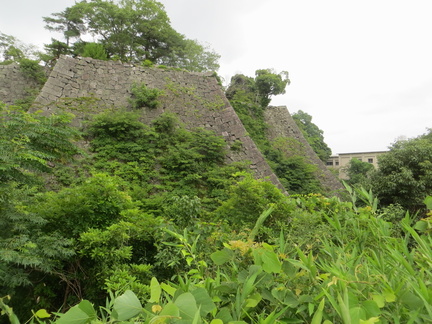 Iga-Ryu castle hill is high