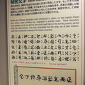 Iga-Ryu ninja museum 1