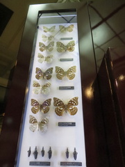Tokyo national museum of nature and science 3